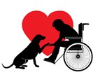 Service animal and person in wheelchair