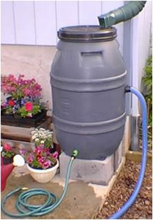 Rain Barrel 5