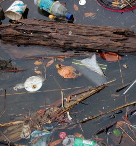 PWStorm_waterpollution