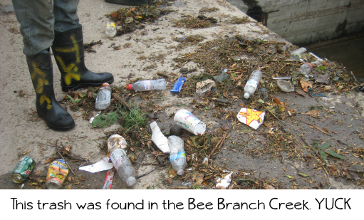 trash-in-bee-branch