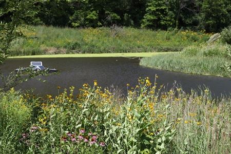 32nd detention basin web