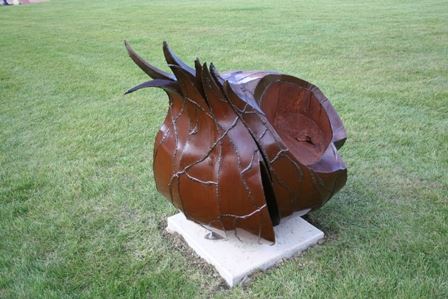 Waking - Stephanie Sailer