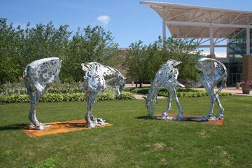 Dapple I and Dapple II - Victoria Reed