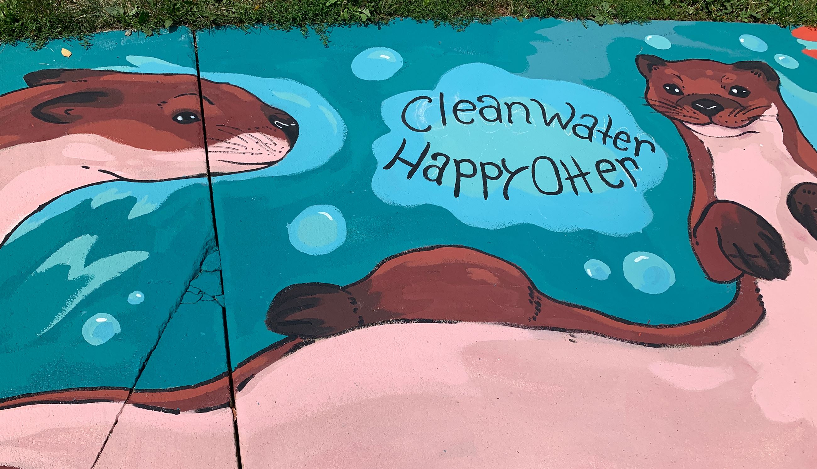 Clean Water Happy Otter_web