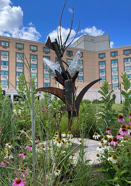 Stalk - COVID Corn to Go