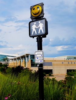 Stranger Reduction Zone