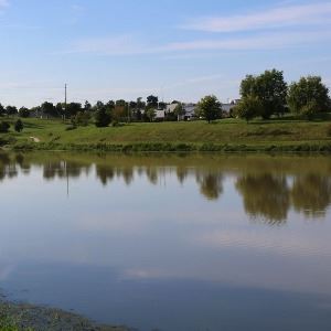 Bergfeld Recreation Area Pond